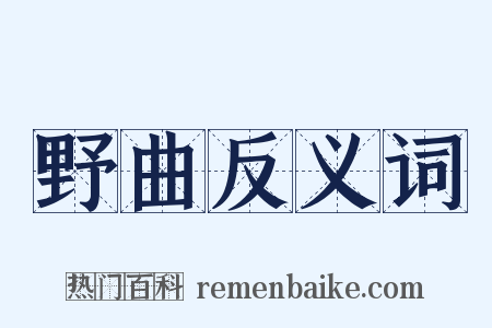 野曲反义词是什么意思的图片
